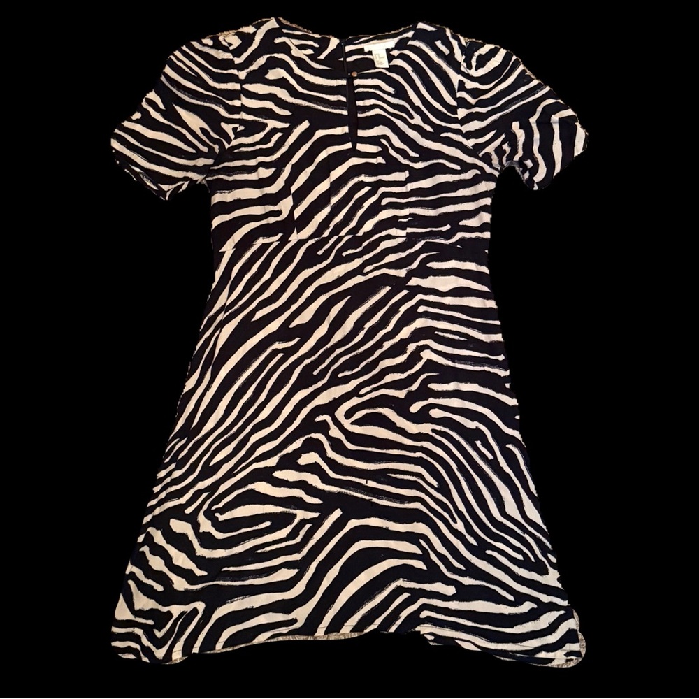 H&M Zebra Print Dress